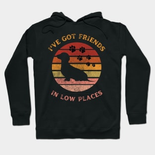 i've got friends in low places Hoodie